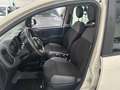 Fiat Panda Panda III 2012 1.2 Lounge 69cv E6 Beige - thumbnail 11