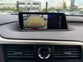 Lexus RX 450h RX 450h AWD Albastru - thumbnail 13