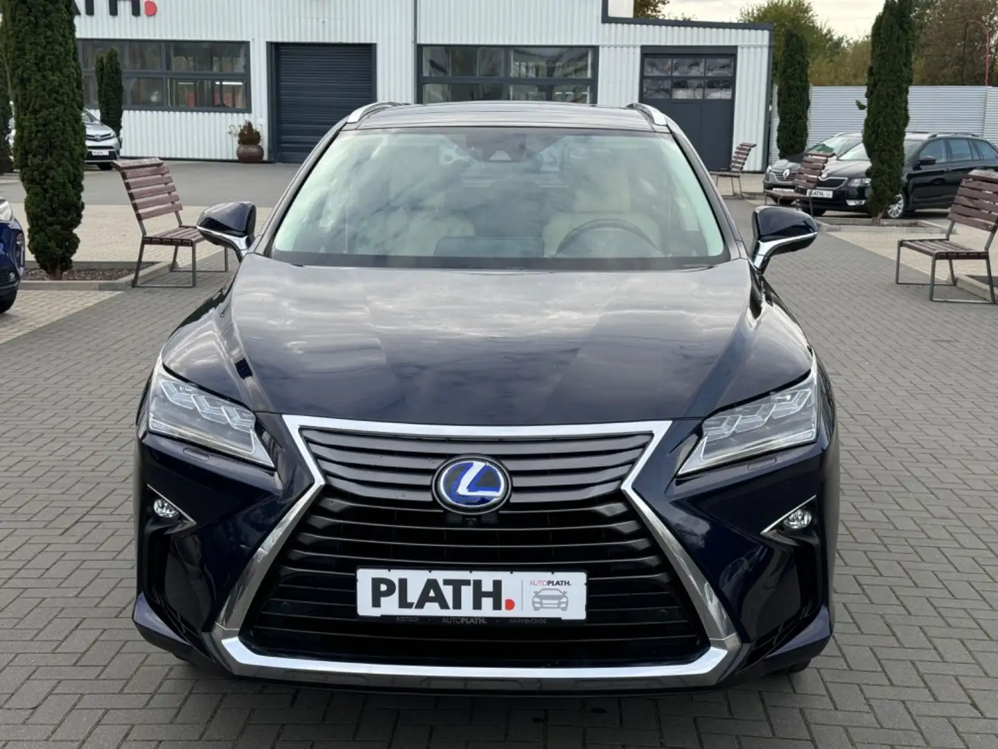 Lexus RX 450h RX 450h AWD Albastru - 2