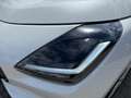 Suzuki Swift 1,2 GL + Hybrid CVT Shine ACC AUT DynLicht Weiß - thumbnail 4