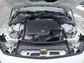 Mercedes-Benz CLE 220 d Cabriolet ACC AUT Bel.Sitz DynLicht LM Blanc - thumbnail 20