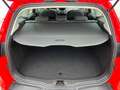 Ford Focus Turnier 1.0 125PS(*KLIMA*NAVI*AHK*TEMPO.*) Rot - thumbnail 18