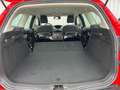 Ford Focus Turnier 1.0 125PS(*KLIMA*NAVI*AHK*TEMPO.*) Rot - thumbnail 19