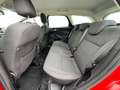 Ford Focus Turnier 1.0 125PS(*KLIMA*NAVI*AHK*TEMPO.*) Rot - thumbnail 16