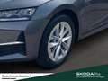 Skoda Octavia Combi Selection eTSI DSG Infotainment-Paket Rückfa Grau - thumbnail 11