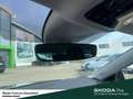 Skoda Octavia Combi Selection eTSI DSG Infotainment-Paket Rückfa Grau - thumbnail 15