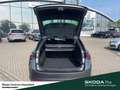 Skoda Octavia Combi Selection eTSI DSG Infotainment-Paket Rückfa Grau - thumbnail 12