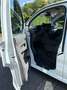 Volkswagen T7 Transporter Kastenwagen LR 2,0 TDI Entry Weiß - thumbnail 11