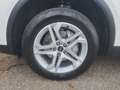 Audi Q5 40 TDI q. S-Tronic, LED, B&O, ACC, Ambiente, Blanc - thumbnail 18