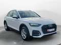 Audi Q5 40 TDI q. S-Tronic, LED, B&O, ACC, Ambiente, Blanc - thumbnail 7