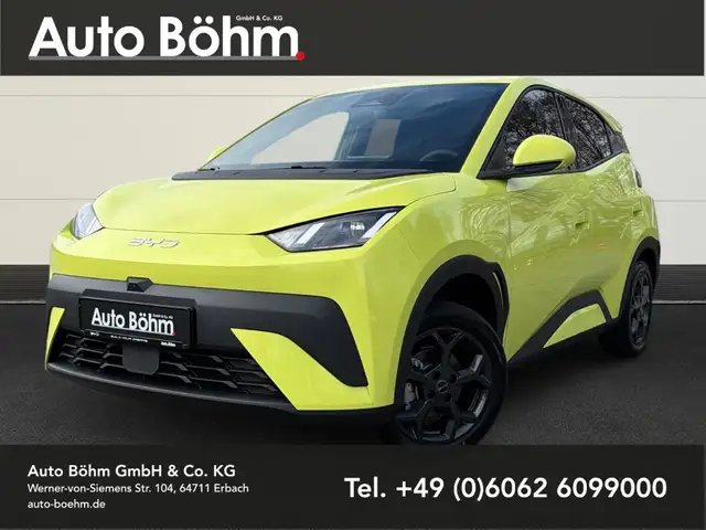 BYD Dolphin