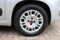 Fiat Panda 0.9 TwinAir Lounge |Automaat Gris - thumbnail 30