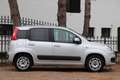 Fiat Panda 0.9 TwinAir Lounge |Automaat Gris - thumbnail 6