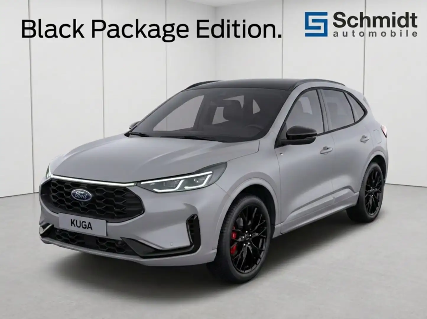 Ford Kuga ST-Line X 2,5L Duratec FHEV 183PS A AWD Grau - 1