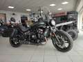 Kawasaki Noir - thumbnail 3