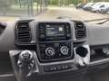 Toyota Proace Max 2.2 Diesel 103kW (140 PS)+R-Kamera+ Bianco - thumbnail 8