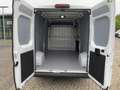 Toyota Proace Max 2.2 Diesel 103kW (140 PS)+R-Kamera+ Bianco - thumbnail 11