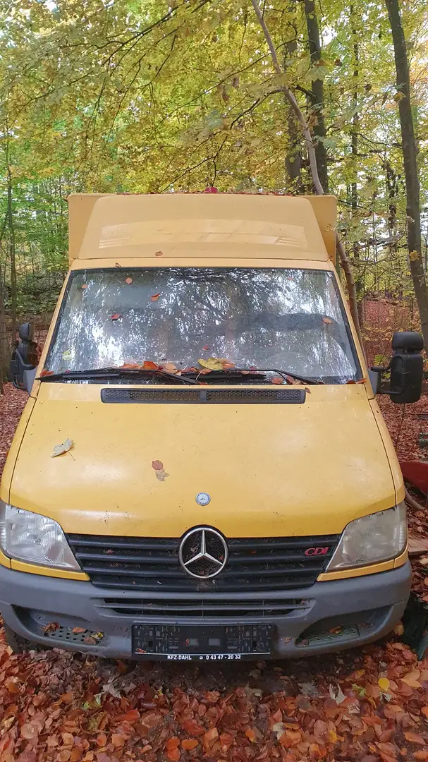 Mercedes-Benz 308 CDI Postkoffer Aufbau nur 113000km - 1