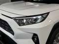 Toyota RAV 4 RAV4 2.5 HV (218CV) E-CVT 2WD Active - thumbnail 6