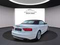 Audi S5 3.0 TFSI quattro Cabrio, Leder, Navi 245 kW (33... White - thumbnail 4
