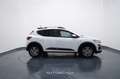 Dacia Sandero Stepway 1.0 TCe ECO-G Comfort Bianco - thumbnail 7