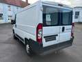 Fiat Ducato 100 (Rs: 3000 mm) Weiß - thumbnail 7