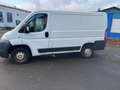Fiat Ducato 100 (Rs: 3000 mm) Weiß - thumbnail 5