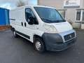 Fiat Ducato 100 (Rs: 3000 mm) Weiß - thumbnail 3