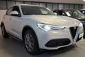 Alfa Romeo Stelvio Stelvio 2021 2.2 t Business Q4 190cv auto Bianco - thumbnail 3