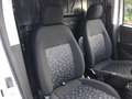 Opel Combo 1.6 CDTI 105CV PC-TA Van Blitz (1000kg) E6 Bianco - thumbnail 7