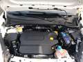 Opel Combo 1.6 CDTI 105CV PC-TA Van Blitz (1000kg) E6 Bianco - thumbnail 9