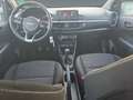 Kia Picanto 1.2 Edition 7  Facelift Weiß - thumbnail 11