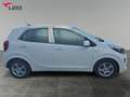 Kia Picanto 1.2 Edition 7  Facelift Weiß - thumbnail 7