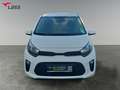 Kia Picanto 1.2 Edition 7  Facelift Weiß - thumbnail 9