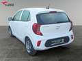 Kia Picanto 1.2 Edition 7  Facelift Weiß - thumbnail 4