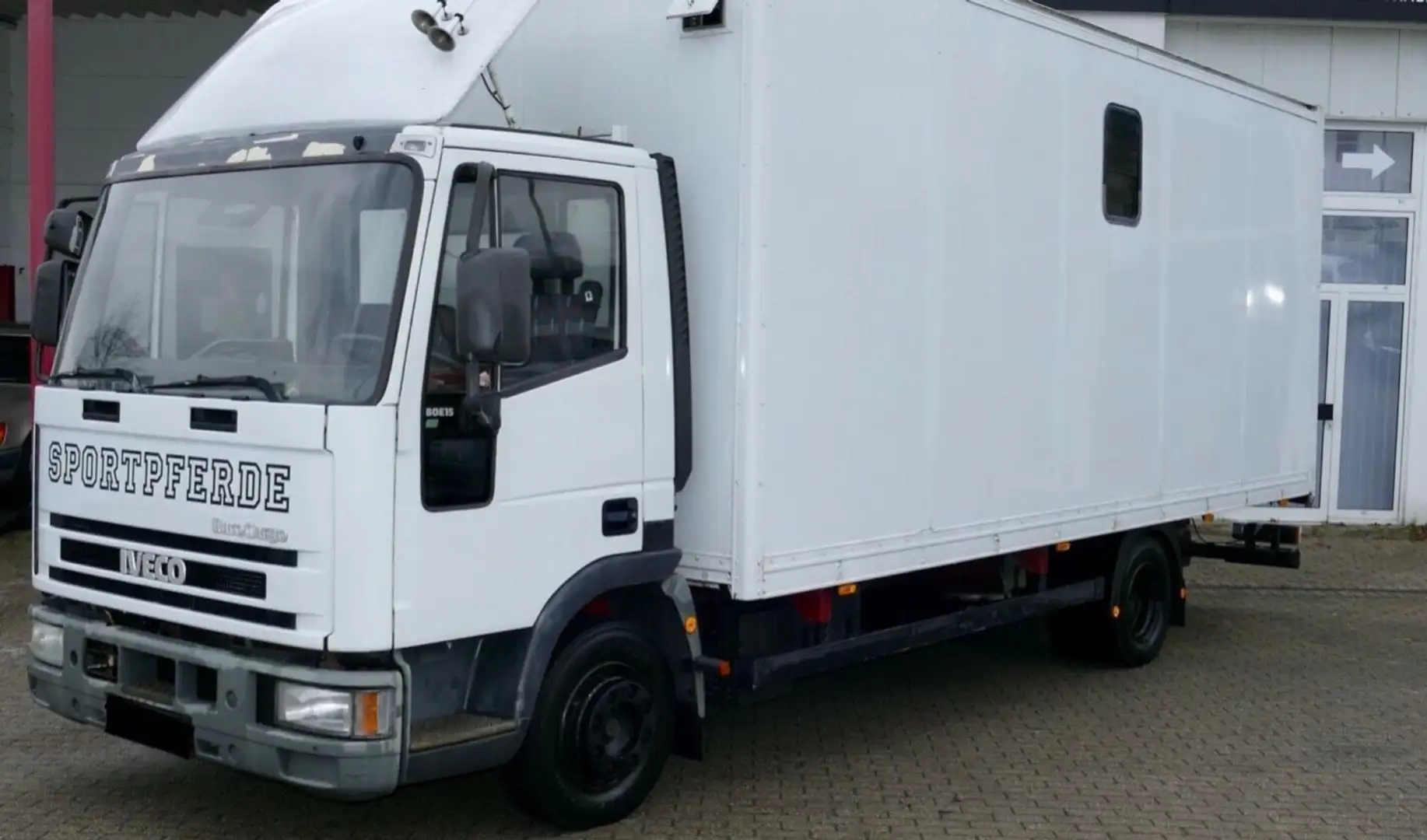 Iveco 80E15 Pferdetransport 4 Pferde 4(Grün) HU neu Weiß - 1