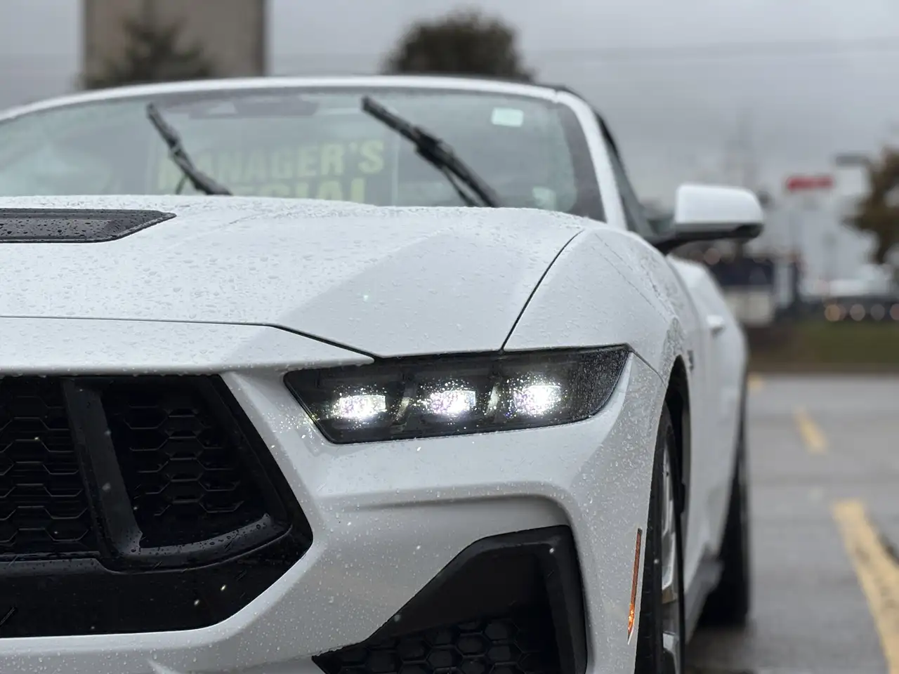 Ford Mustang снимка Ford Mustang