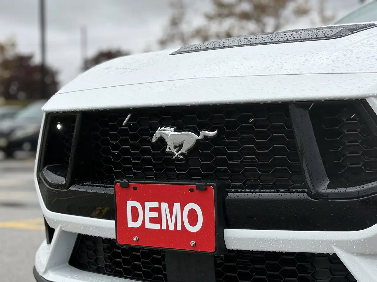 Ford Mustang снимка Ford Mustang