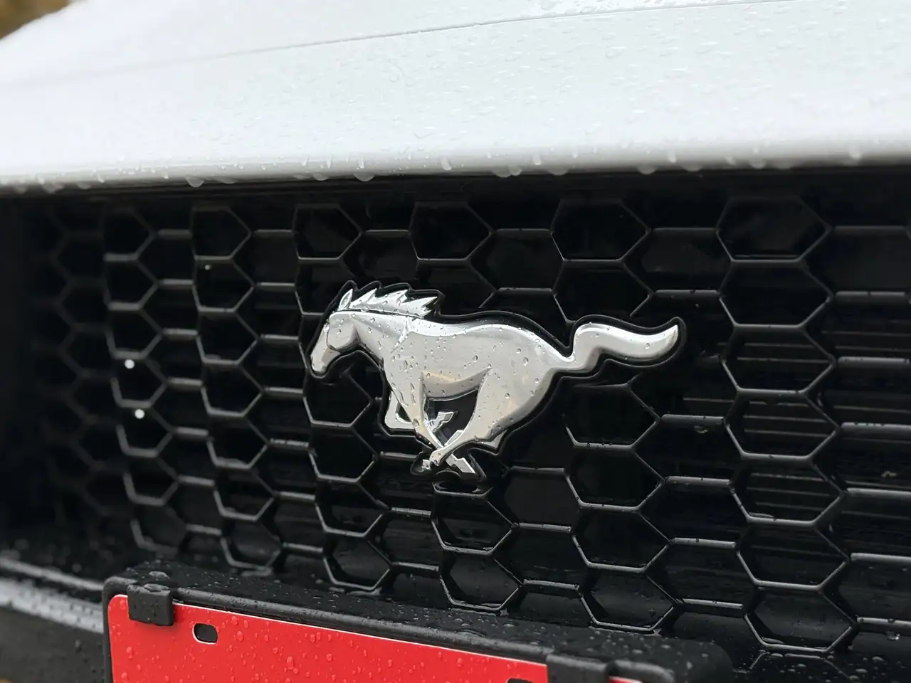 Ford Mustang снимка Ford Mustang