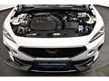 CUPRA Formentor 1.5TSI DSG AHK/KAM/SITZHZ/LED Weiß - thumbnail 12