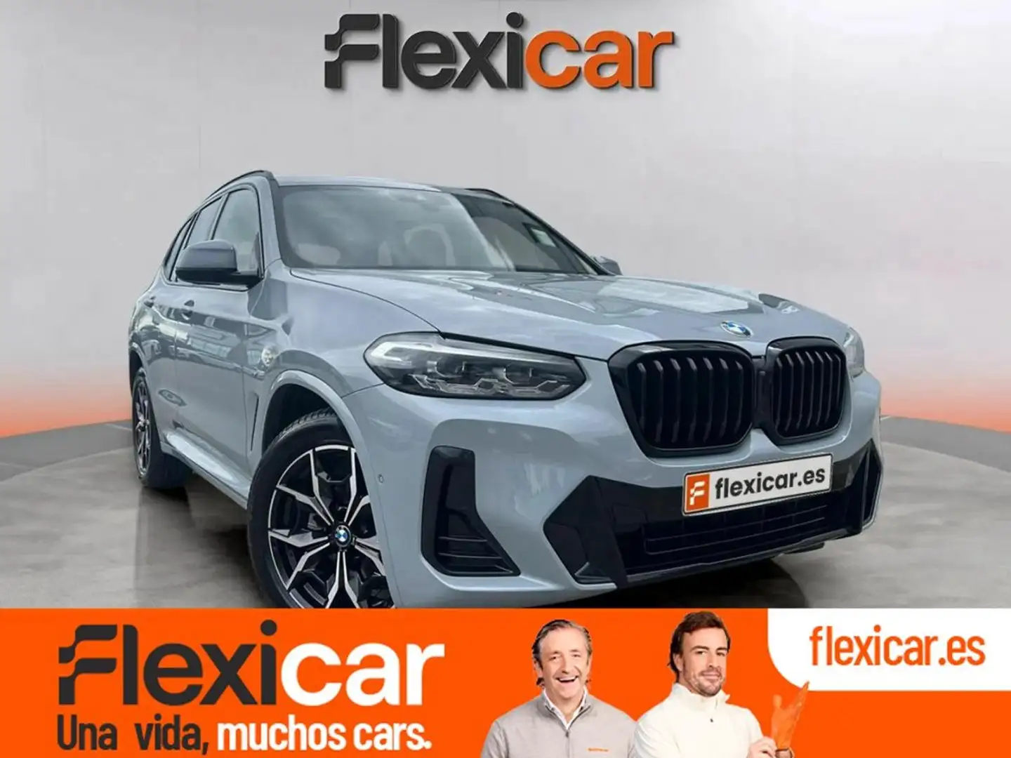 BMW X3 20d xDrive Gris - 1