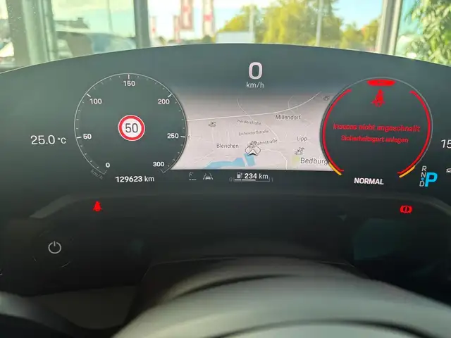 Porsche Taycan view 14