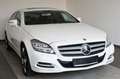 Mercedes-Benz CLS 350 Sport Leder,Navi,LED,SD,SH+Belüftung Weiß - thumbnail 8