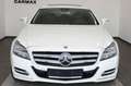 Mercedes-Benz CLS 350 Sport Leder,Navi,LED,SD,SH+Belüftung Weiß - thumbnail 25