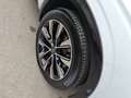 Renault Austral E-Tech Full Hybrid 200 Techno Aut. Blanc - thumbnail 7