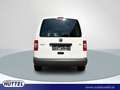 Volkswagen Caddy Kasten 1.6 TDI Weiß - thumbnail 5