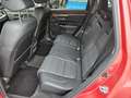 Honda CR-V 1.5 T 4WD Lifestyle AHK, LED Rot - thumbnail 2