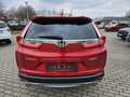 Honda CR-V 1.5 T 4WD Lifestyle AHK, LED Rot - thumbnail 4