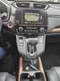 Honda CR-V 1.5 T 4WD Lifestyle AHK, LED Rot - thumbnail 13