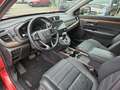 Honda CR-V 1.5 T 4WD Lifestyle AHK, LED Rot - thumbnail 10